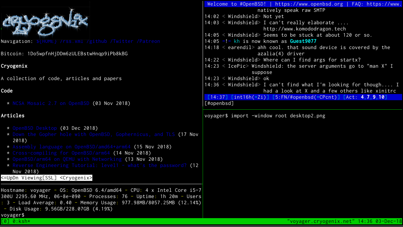 OpenBSD+ratpoison+urxvt+tmux